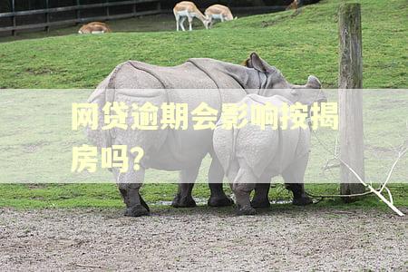 网贷逾期会影响按揭房吗? 网贷逾期会影响按揭房吗?