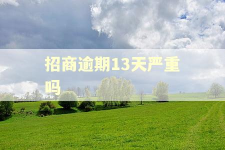 招商逾期13天严重吗