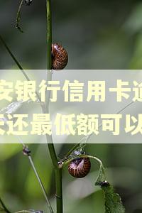 平安银行信用卡逾期8天还最低额可以吗