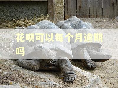 花呗可以每个月逾期吗