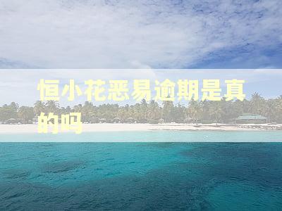 恒小花恶易逾期是真的吗
