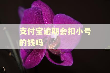 支付宝逾期会扣小号的钱吗