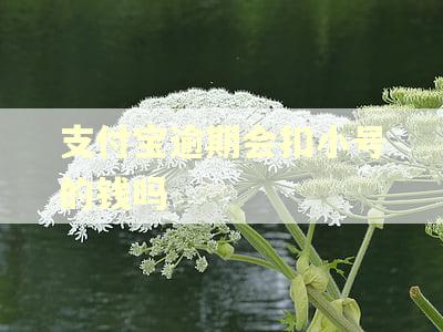 支付宝逾期会扣小号的钱吗 支付宝逾期会扣小号的钱吗