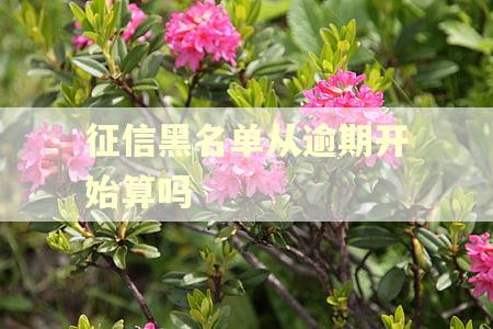 征信黑名单从逾期开始算吗 征信黑名单从逾期开始算吗