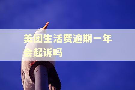 美团生活费逾期一年会起诉吗 美团生活费逾期一年会起诉吗