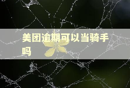 美团逾期可以当骑手吗