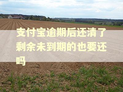 支付宝逾期后还清了剩余未到期的也要还吗