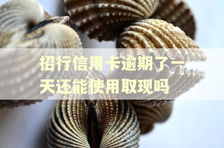 招行信用卡逾期了一天还能使用取现吗 招行信用卡逾期了一天还能使用取现吗