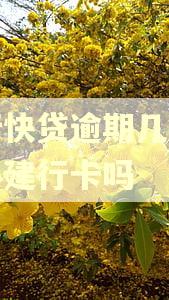 建行快贷逾期几年还能办建行卡吗