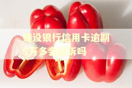 建设银行信用卡逾期5万多会起诉吗
