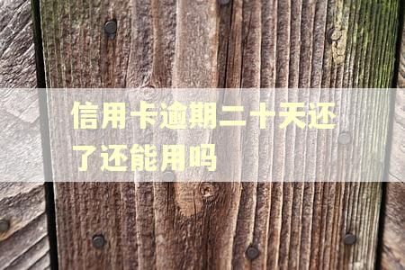 信用卡逾期二十天还了还能用吗