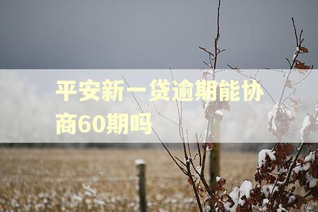 平安新一贷逾期能协商60期吗