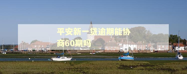 平安新一贷逾期能协商60期吗