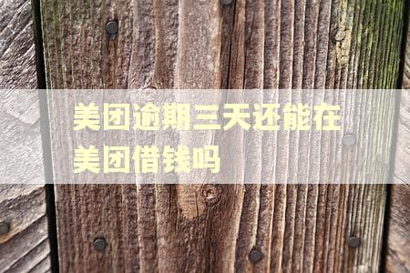 美团逾期三天还能在美团借钱吗