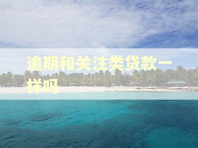 逾期和关注类贷款一样吗