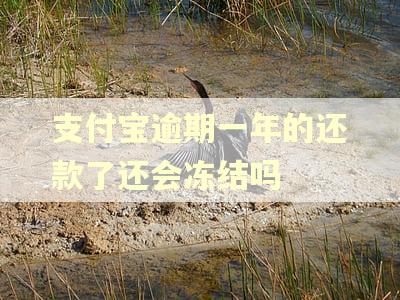 支付宝逾期一年的还款了还会冻结吗