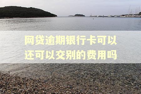 网贷逾期银行卡可以还可以交别的费用吗