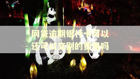 网贷逾期银行卡可以还可以交别的费用吗