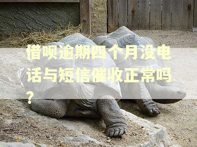借呗逾期四个月没电话与短信催收正常吗?