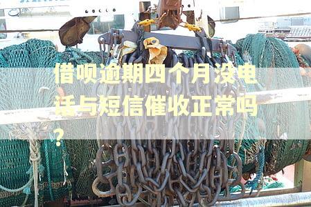 借呗逾期四个月没电话与短信催收正常吗?