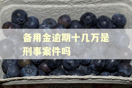 备用金逾期十几万是刑事案件吗