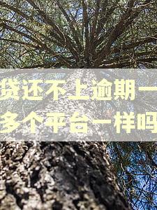 网贷还不上逾期一个和多个平台一样吗