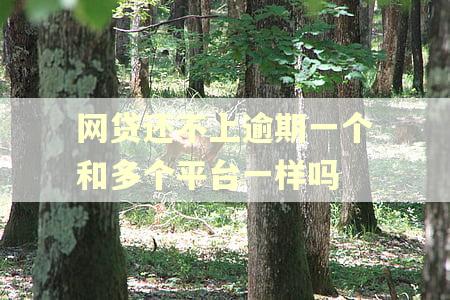 网贷还不上逾期一个和多个平台一样吗