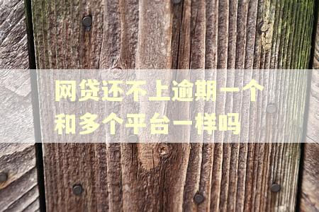 网贷还不上逾期一个和多个平台一样吗