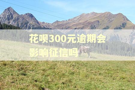 花呗300元逾期会影响征信吗