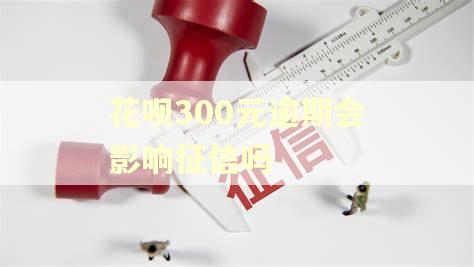 花呗300元逾期会影响征信吗