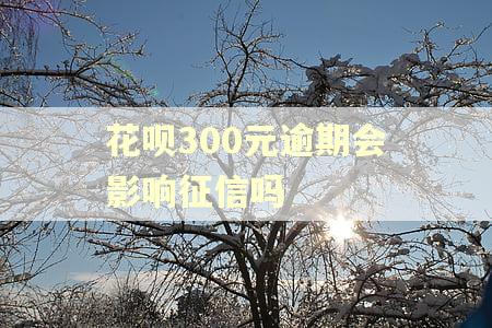 花呗300元逾期会影响征信吗