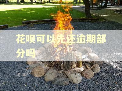 花呗可以先还逾期部分吗