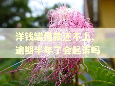 洋钱罐借款还不上,逾期半年了会起诉吗
