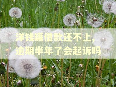 洋钱罐借款还不上,逾期半年了会起诉吗