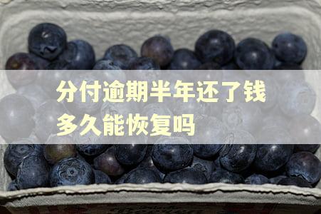 分付逾期半年还了钱多久能恢复吗