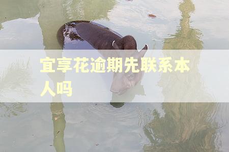 宜享花逾期先联系本人吗