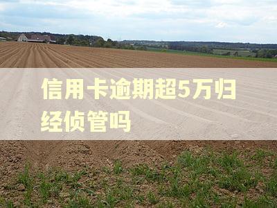 信用卡逾期超5万归经侦管吗