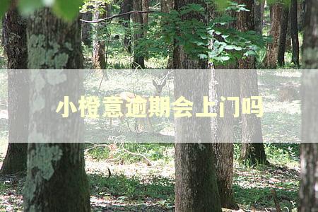 小橙意逾期会上门吗