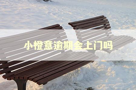 小橙意逾期会上门吗
