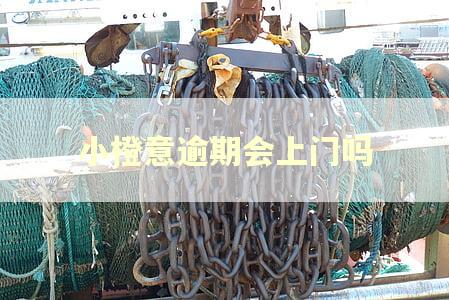 小橙意逾期会上门吗 小橙意逾期会上门吗