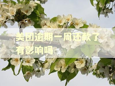 美团逾期一周还款了有影响吗