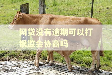 网贷没有逾期可以打银监会协商吗