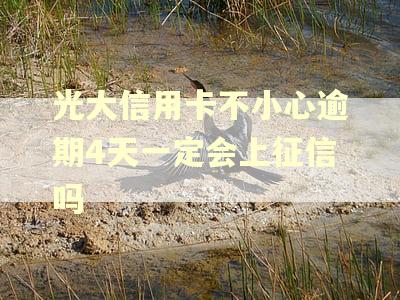 光大信用卡不小心逾期4天一定会上征信吗
