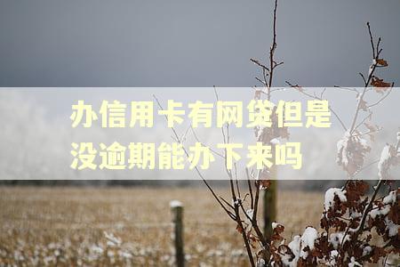 办信用卡有网贷但是没逾期能办下来吗