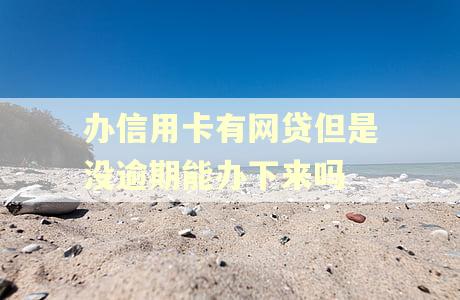 办信用卡有网贷但是没逾期能办下来吗