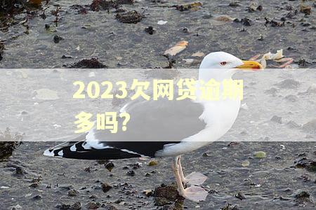 2023欠网贷逾期多吗?