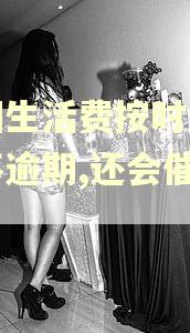 美团生活费按时还款。不逾期,还会催收吗