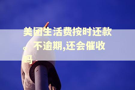 美团生活费按时还款。不逾期,还会催收吗
