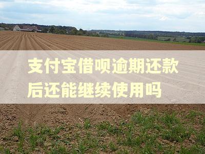 支付宝借呗逾期还款后还能继续使用吗