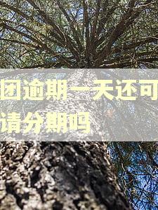 美团逾期一天还可以申请分期吗